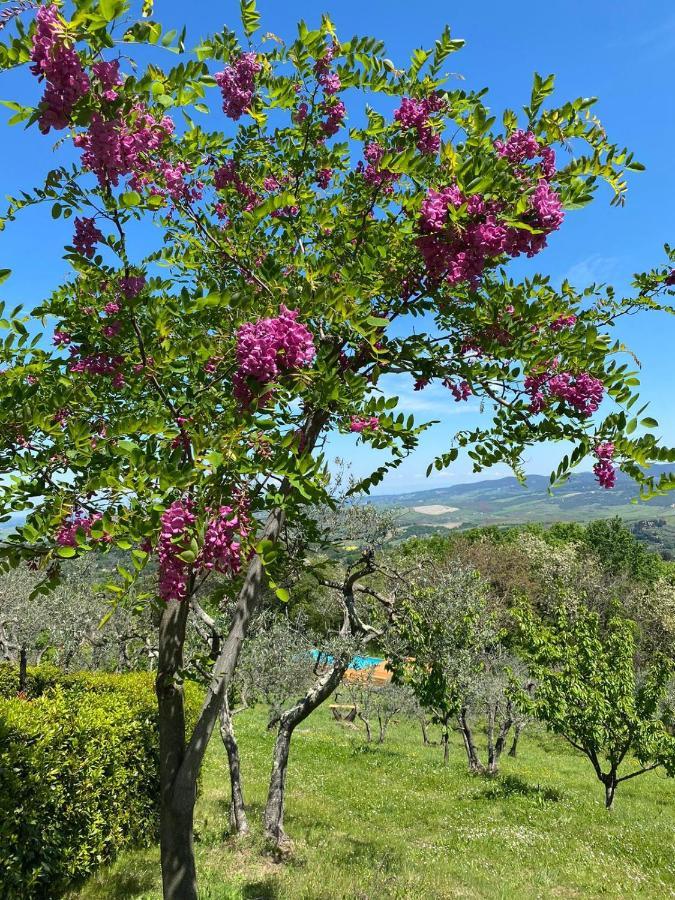 Casa Di Coraggio Villa Volterra Ngoại thất bức ảnh